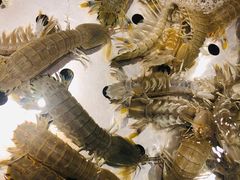 -良友·海鲜青岛菜(五四广场店)