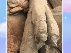 -那琴半岛地质海洋公园