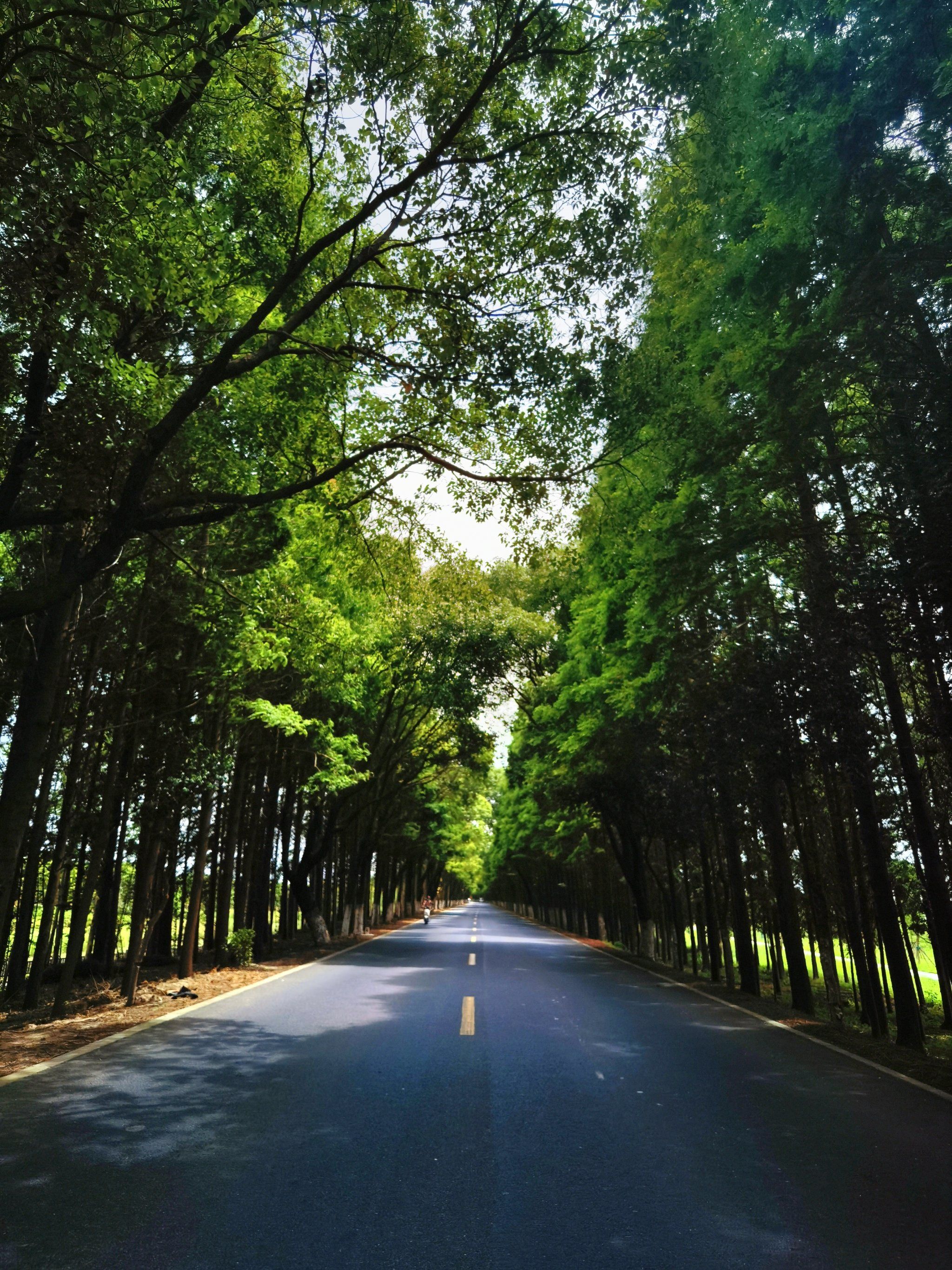 沪杭公路