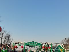 -荷兰花海