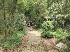 -上海佘山国家森林公园天马山园