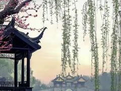 -交通银行(上海莘庄支行)