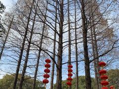 -无锡梅园公园