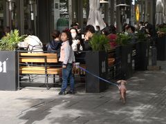 -81bakery(关山路店)