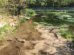 -白水寺森林公园