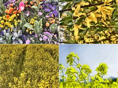 -宁波儿童公园(鄞州区)