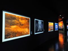 -罗红摄影艺术馆