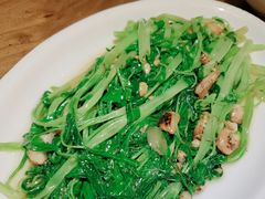 豆酱空心菜-潮中人·潮州菜(益乐路店)