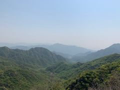 -大岭沟猕猴桃谷风景区