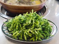 -楠波炭炉鸡煲馆(桥北店)