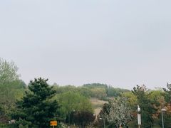 -大兴滨河森林公园