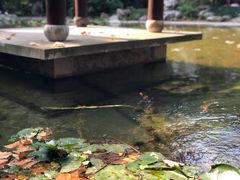 -南山风景名胜区