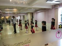 -雅米拉艺术中心(少儿舞蹈培训)