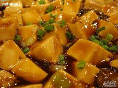 红烧豆腐特写-老浒记烤鸭-北京菜(琉璃厂店)