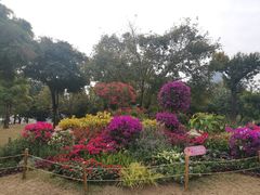 -莲花山公园