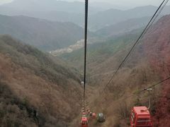 -王顺山国家森林公园