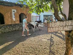 -HERRE·FARM 赫尔露营农场·团建聚会包场