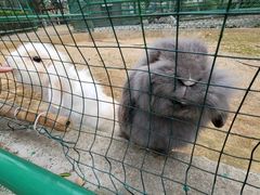 -香宫中餐厅 · 桂林香格里拉