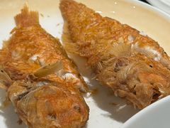 -吴记富苑(朝阳店)