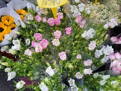 -循礼门鲜花花市(武汉循礼门店)