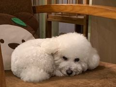-默迹咖啡馆
