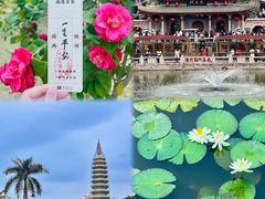 -南普陀寺