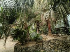 -呀路古热带植物园