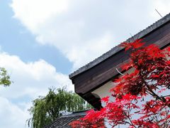 -同里国家湿地公园