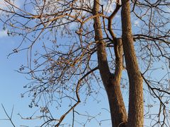 -古田会议纪念馆