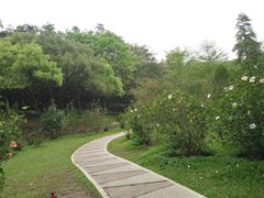 -云溪植物园