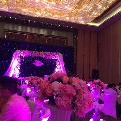 -武汉富力威斯汀酒店·宴会厅