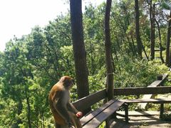 -重庆雨台山风景区