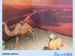 -巴尔喀十新疆餐厅(开发区店)