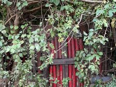 -斯多格书乡(北京大学畅春园店)