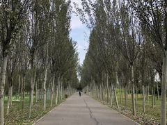 -东郊湿地公园