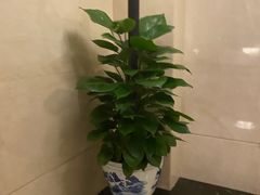 -贵州大厦贵州厅(樱花园西街店)