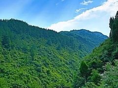 -香山公园
