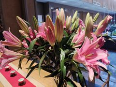 -南堂馆·新川菜(天府三街店)