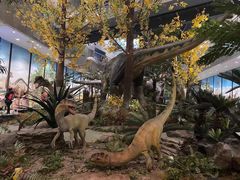 -湖南省地质博物馆