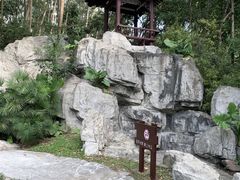 -深圳国际园林花卉博览园