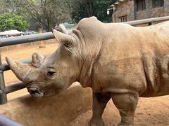 -昆明动物园