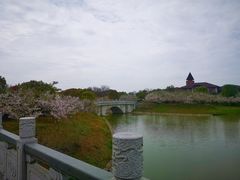 -上海海湾国家森林公园