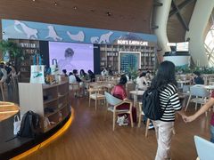 -抱抱地球咖啡馆(国家海洋博物馆店)