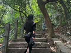 -灵顺寺