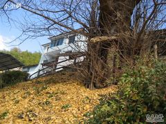 -藏龙百瀑风景区