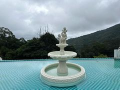 -龙岩森林水乡景区