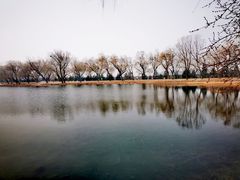 -颐和园