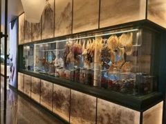 花胶-潮上潮(南中环店)