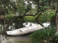 -成飞公园