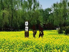 -北坞公园